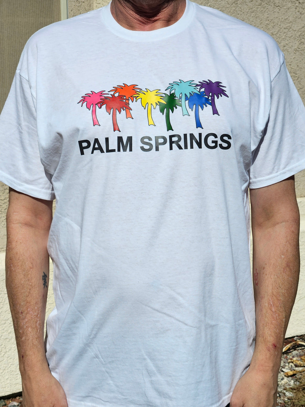 Gilbert Baker Rainbow Palms with PALM SPRINGS
