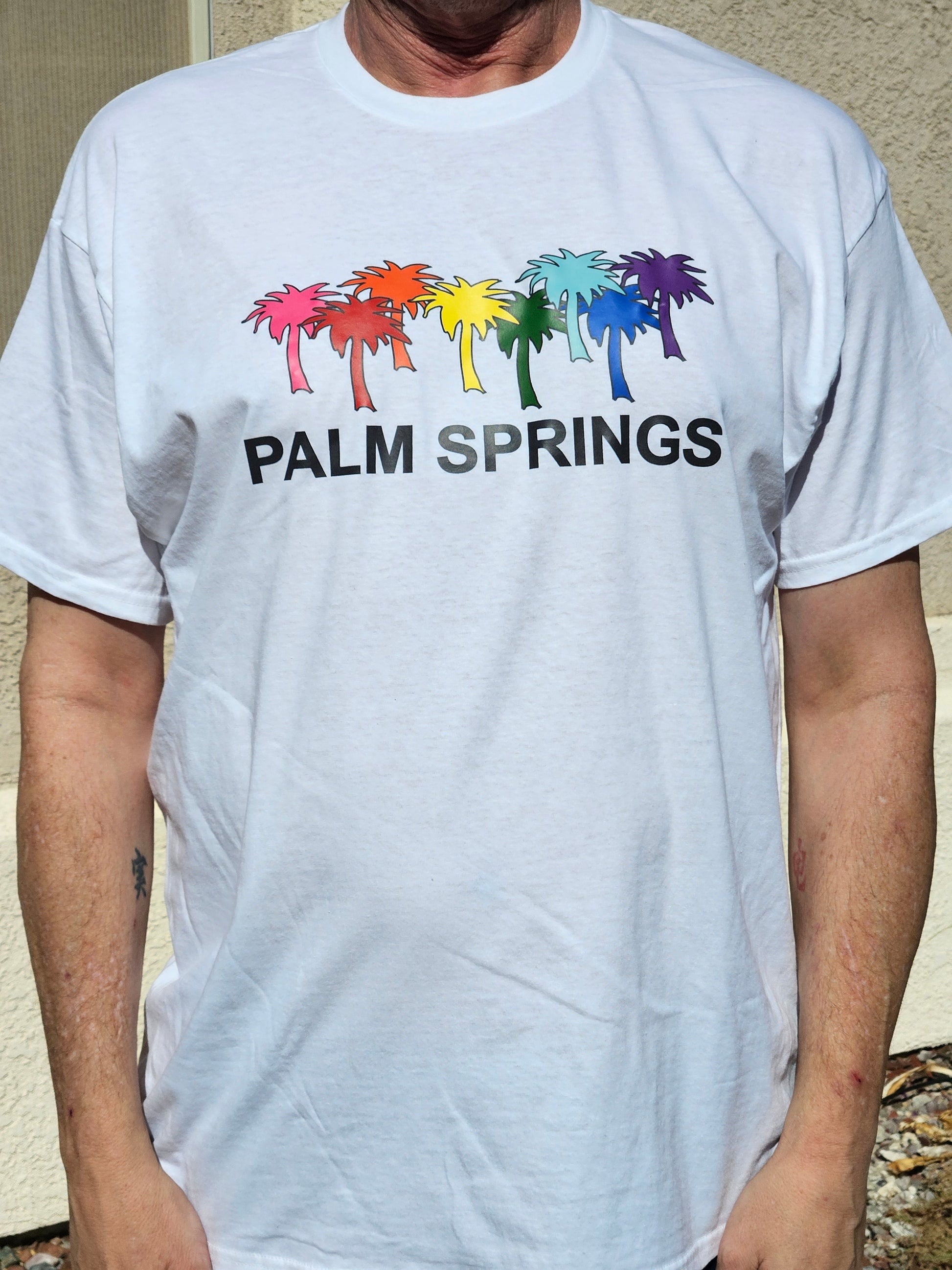 Gilbert Baker Rainbow Palms with PALM SPRINGS