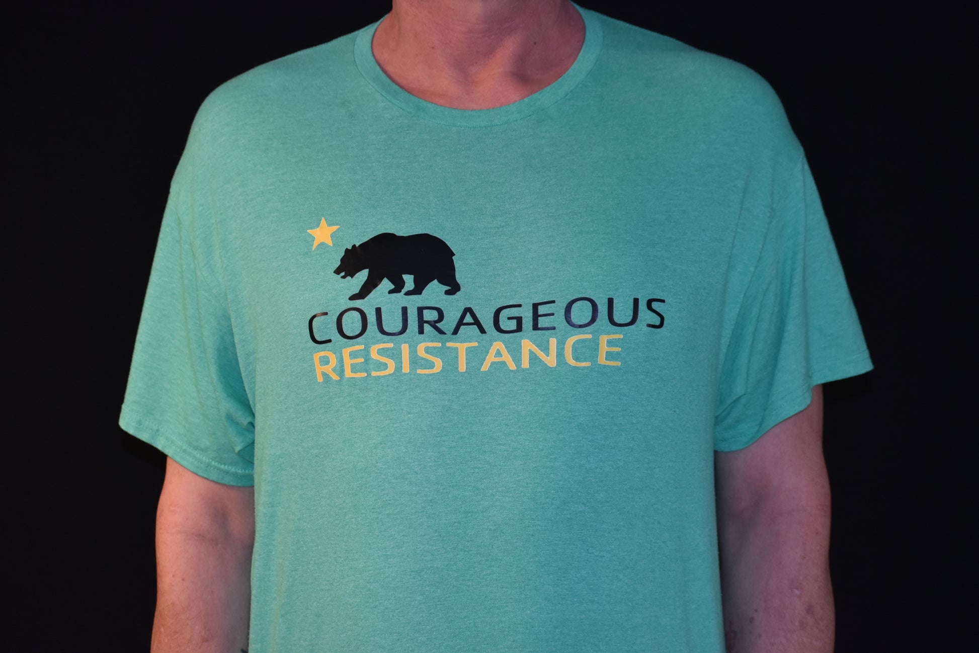 Courageous Resistance Tee shirt