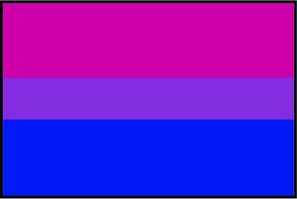 Bi Flag Mugs